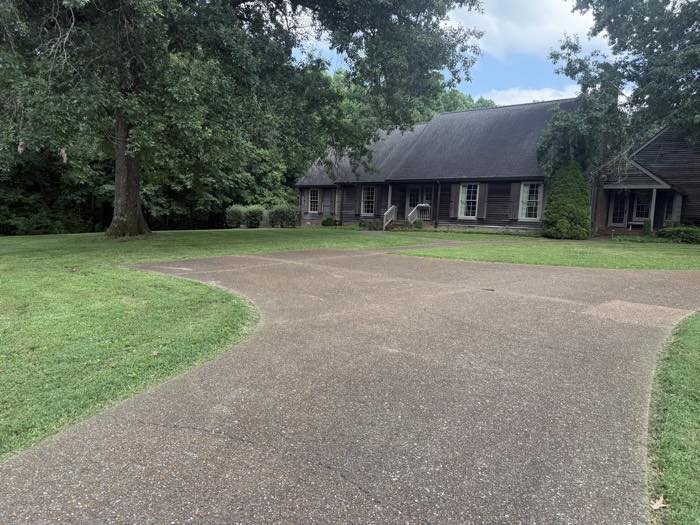 Estate lawn under mature trees