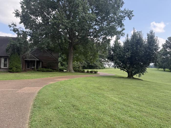 Rolling estate lawn freshly mowed