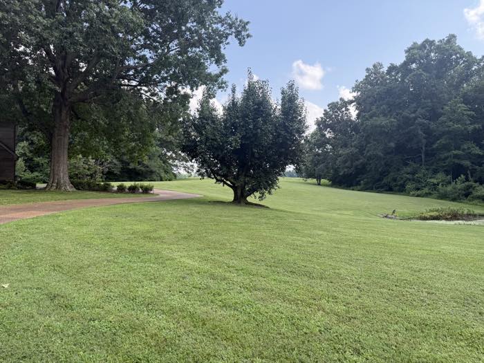 Wide open lawn mowed to standard