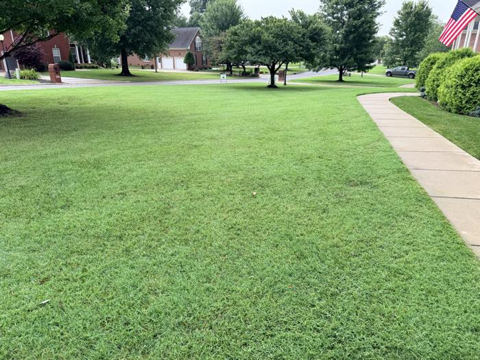 Vivid green lawn with crisp sidewalk edge