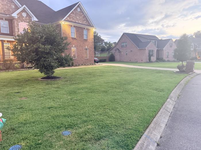 Evening cut on a corner lot