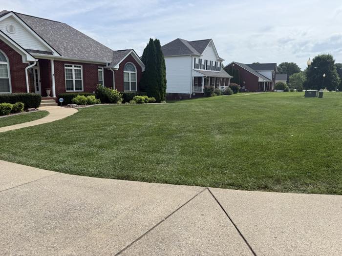 Curved walkway edged against a thick green lawn