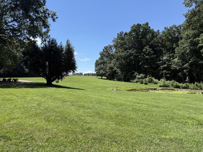 Sweeping estate lawn cut around a mature shade tree