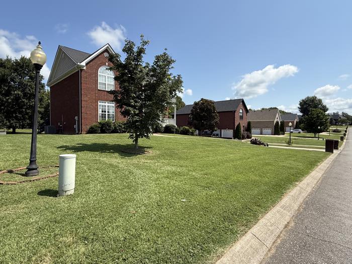 Front lawn cut clean around a lamp post and driveway