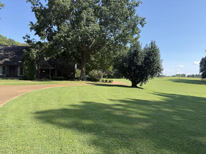 Estate lawn mowed under a large oak beside the house