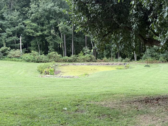 Mowing stripes running down to a wooded backyard pond