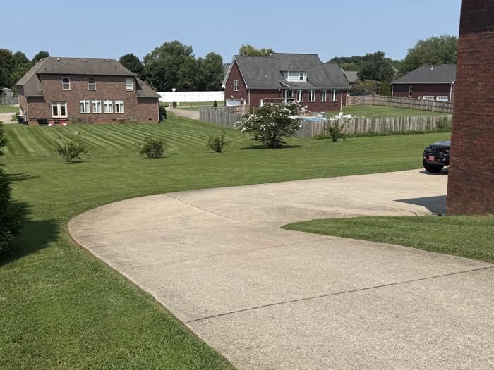 Mowing stripes across two neighboring front lawns