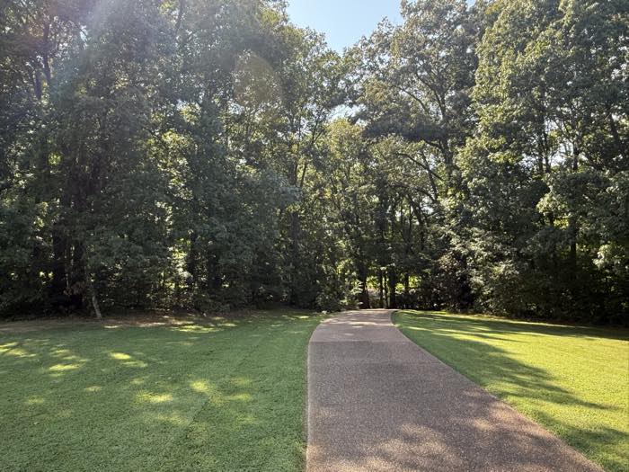 Driveway mowed clean on both sides through the treeline